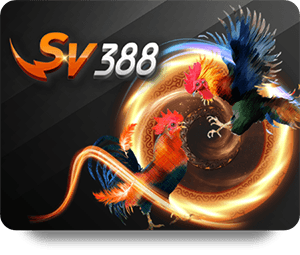 So Sánh Dafabet Thể Thao VIP Với Các Nhà Cái Khác